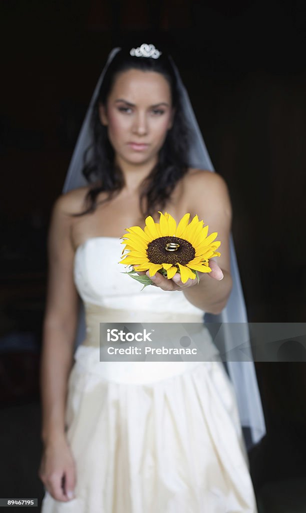 Eheringe - Lizenzfrei Abendkleid Stock-Foto