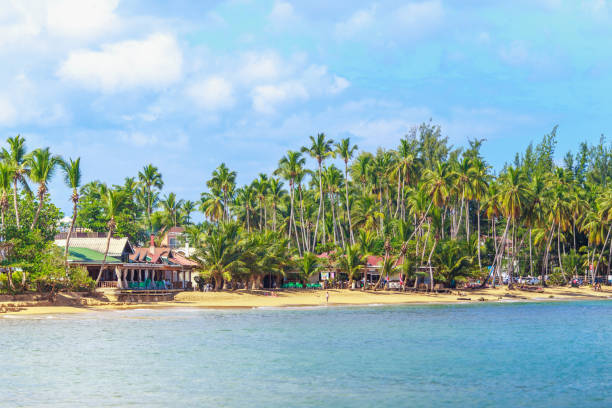 istock the view of caribbean beach 894673466