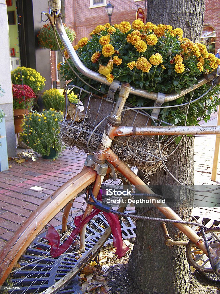 Bicycle Planter  Autumn Stock Photo
