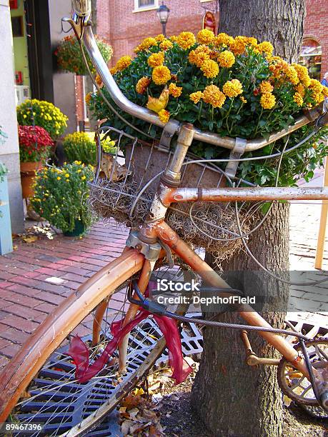 Bicycle Planter Stock Photo - Download Image Now - Autumn, Basket, Bicycle
