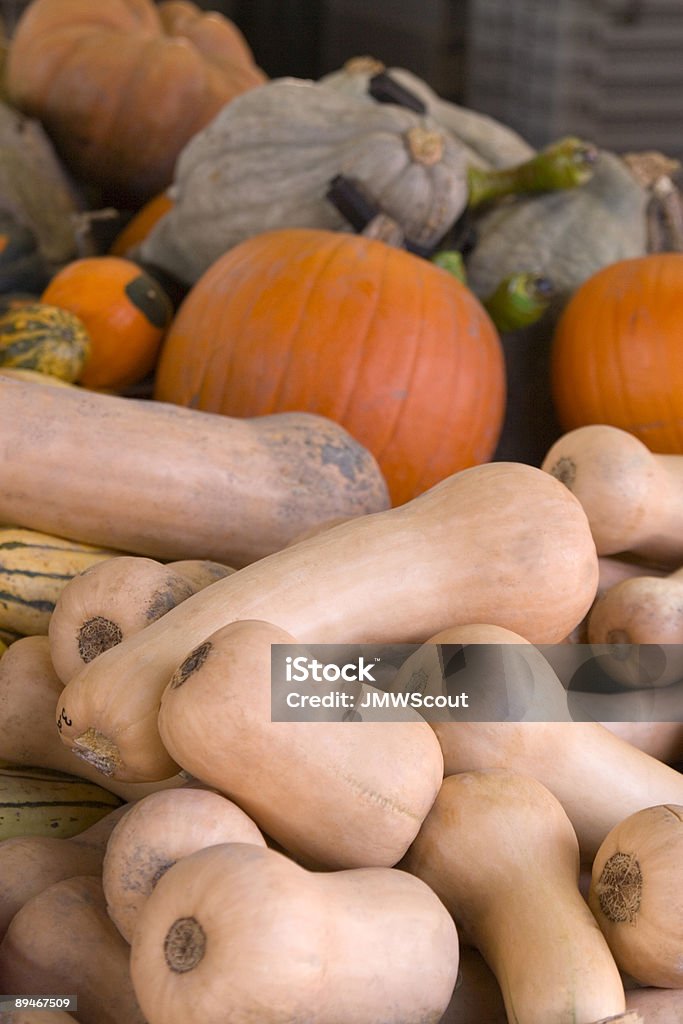 Gourds - Royalty-free Abundância Foto de stock