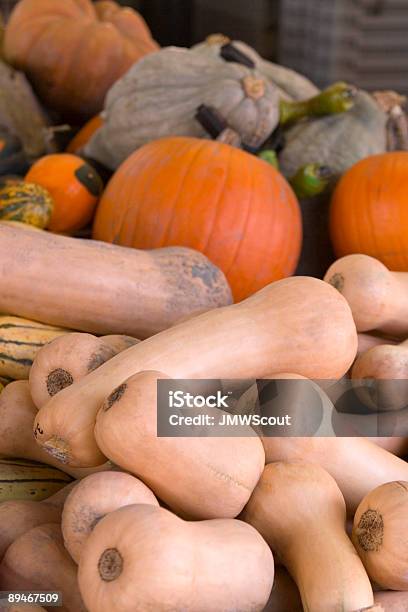 Gourds - Fotografias de stock e mais imagens de Abundância - Abundância, Abóbora, Abóbora-Menina - Cucúrbita