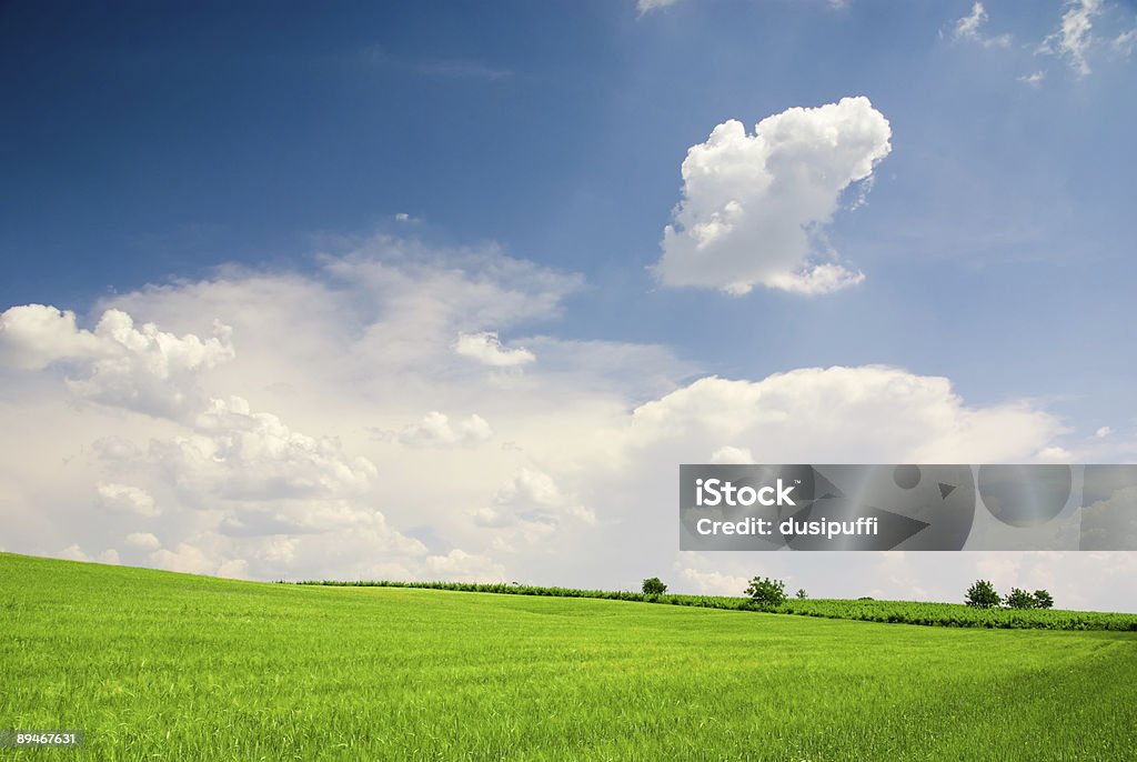 Landschaft - Lizenzfrei Baum Stock-Foto