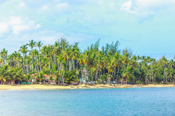 istock the view of caribbean beach 894678624