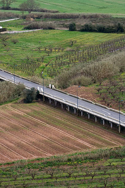 Culture field et le pont - Photo