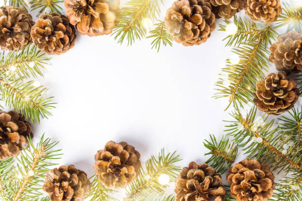 istock Pine cones festive background with fir branch 894685932