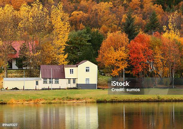 Fine Dellestate - Fotografie stock e altre immagini di Albero - Albero, Autunno, Cambiamento