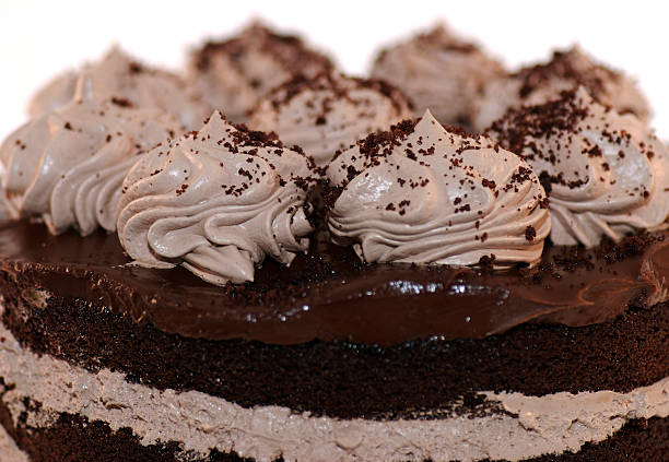 Chocolate Cake Layer stock photo