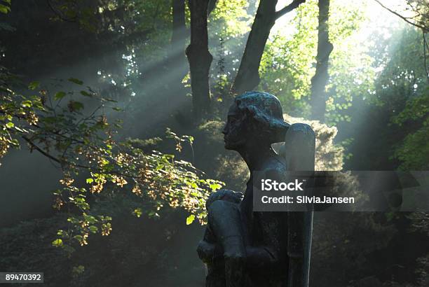 Photo libre de droit de Angel En Automne Lumineux banque d'images et plus d'images libres de droit de Cimetière - Cimetière, Lumière, Mystère