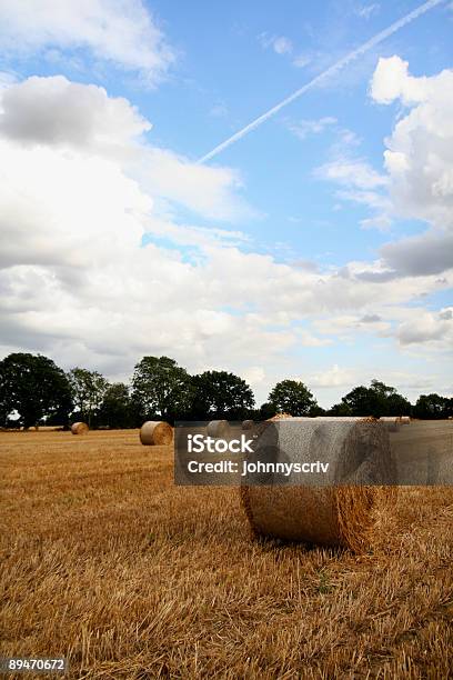 Runde Straw Bales Stockfoto und mehr Bilder von Baum - Baum, Ernten, Farbbild