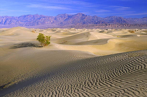 istock Sand dunes in Death Valley, California 89471325