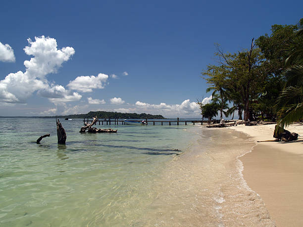 istock caribbean tropical white sand beach 89471744