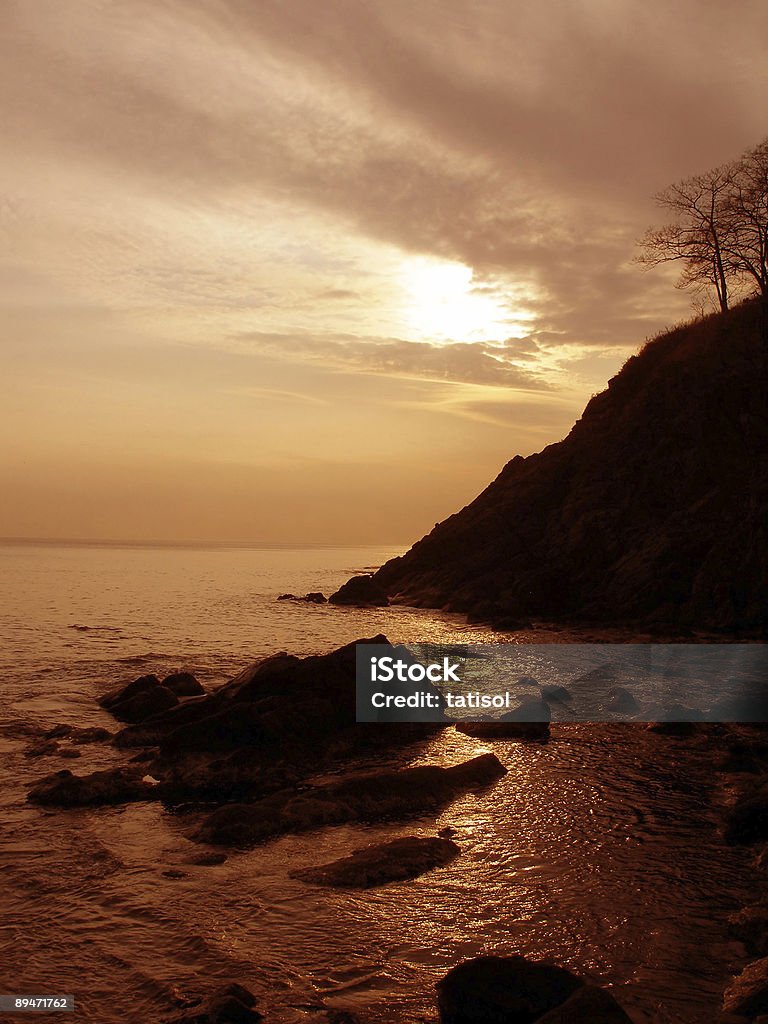 La mer en soirée - Photo de Arbre libre de droits