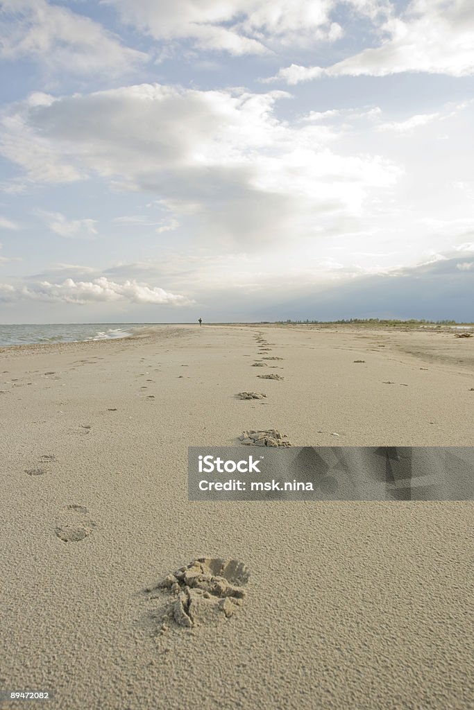 Footprints in the sand  Absence Stock Photo