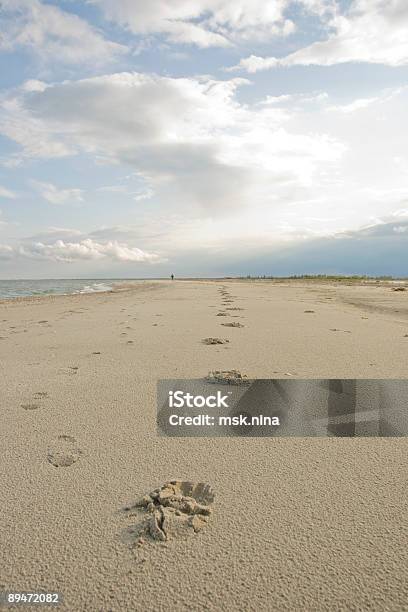 Footprints In The Sand Stock Photo - Download Image Now - Absence, Beach, Blue