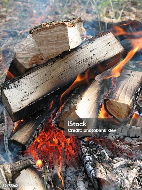 Photo libre de droit de Feu De Camp banque d'images et plus d'images libres de droit de Activité - Activité, Activité de loisirs, Aliment