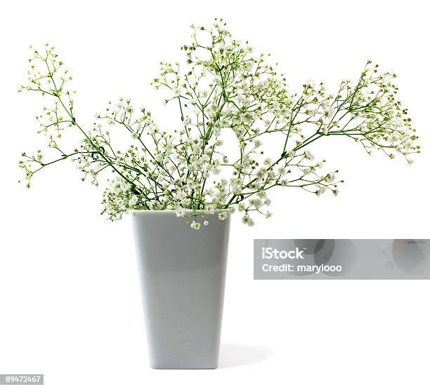 Blumen In Vase Stockfoto und mehr Bilder von Baumblüte - Baumblüte, Blatt - Pflanzenbestandteile, Blume