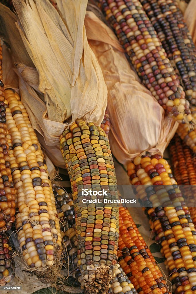 Multicolore Mahiz presso il Farmer's Market - Foto stock royalty-free di Autunno