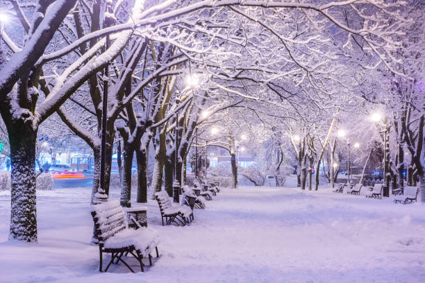 incrível paisagem de noite de inverno de neve coberta banco entre árvores nevadas e luzes brilhantes durante a queda de neve. imagem artística. mundo da beleza. - road street nature snow - fotografias e filmes do acervo