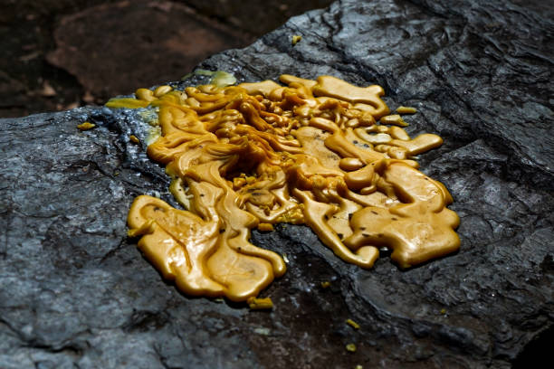 istock Melted candle wax into the ground. 894748146