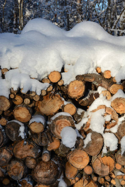 istock Firewood in sunlight and fresh snow 894748160