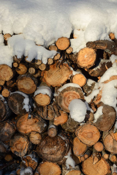 istock Firewood in sunlight and fresh snow 894748196