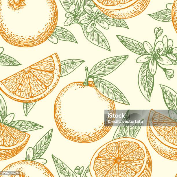 Orange Frukt Och Blommor Mönster-vektorgrafik och fler bilder på Apelsin - Apelsin, Mönster, Frukt