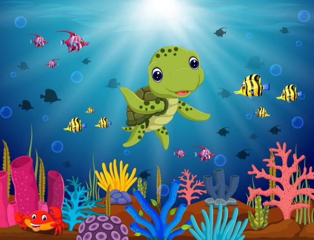 ilustrações de stock, clip art, desenhos animados e ícones de cartoon turtle underwater - 3629