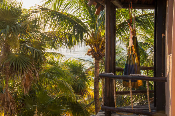 istock Hammock swings amid palm trees in the tropics 894767580