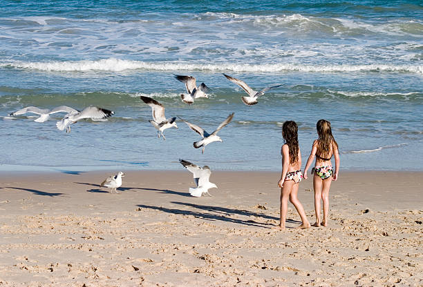 girls seagull watching stock photo