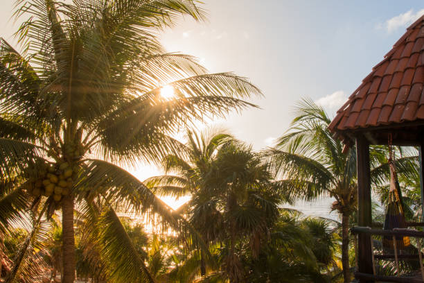 Colorful hammock swinging in the tropical breeze.