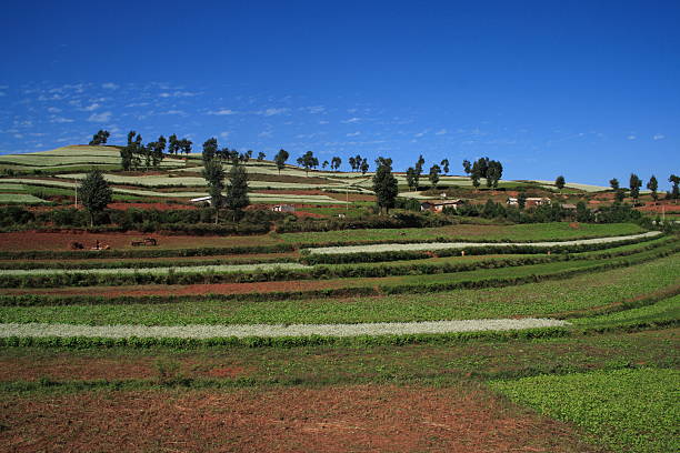 istock The Red Soil of Dongchuan 89477606