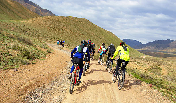 Mountain bikers group on road in desert stock photo