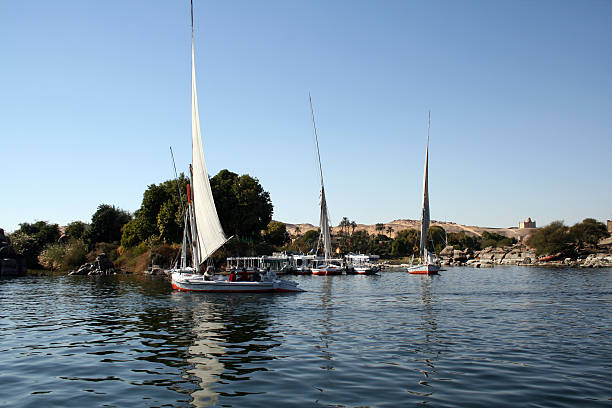 istock Boats sailing in Aswan river nile 89479174