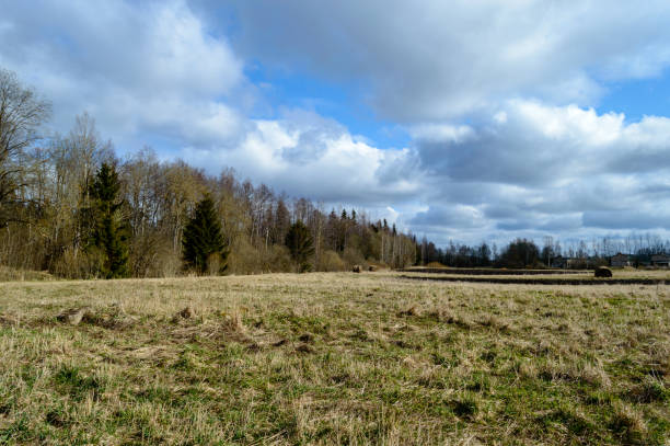 istock beautiful countryside landscape 894799280