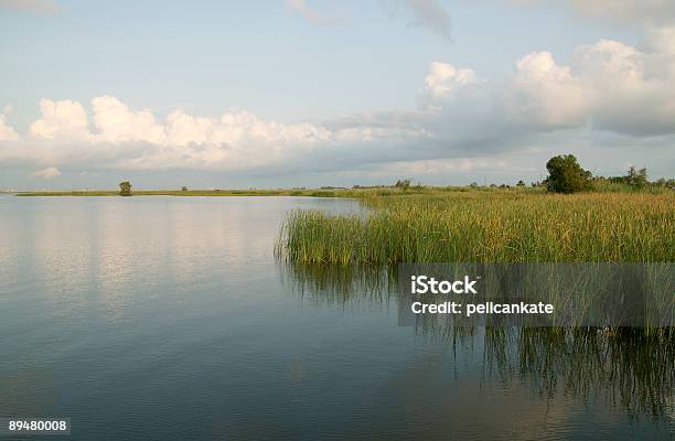 Mobile Zatoka Delta - zdjęcia stockowe i więcej obrazów Moczar - Moczar, Bez ludzi, Brzask