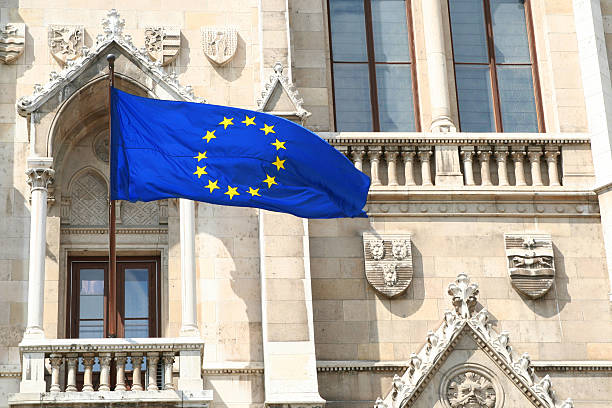 istock Flag before the wall of parliament 89480483
