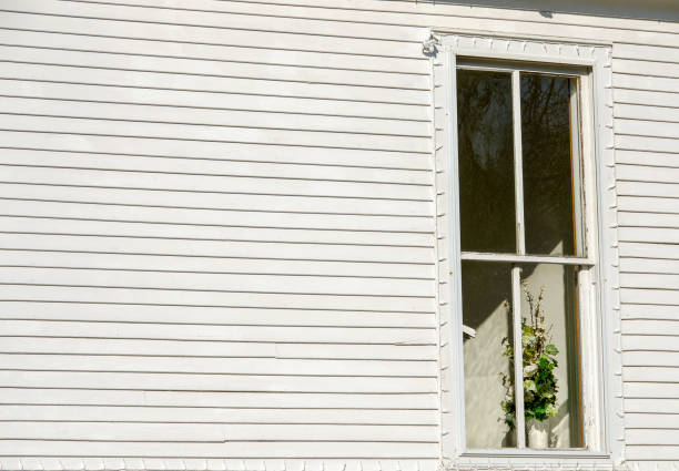 istock floral bouquet in house window 894807562