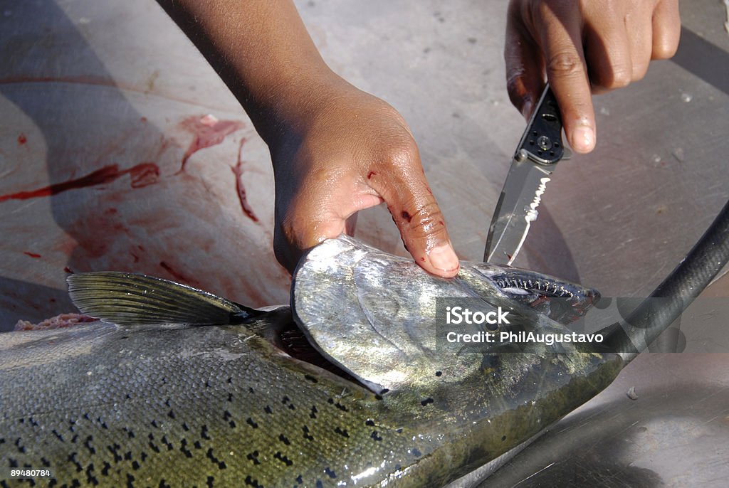 Limpieza de salmón con cama king - Foto de stock de Agalla libre de derechos