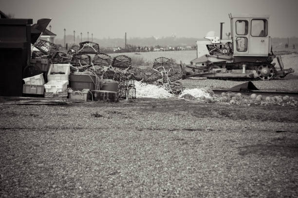 istock Old tractor and lobster pots 89481324
