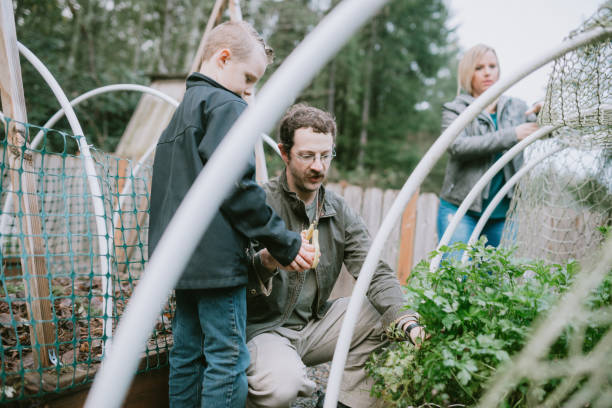 istock Family Working Together in Garden 894813726