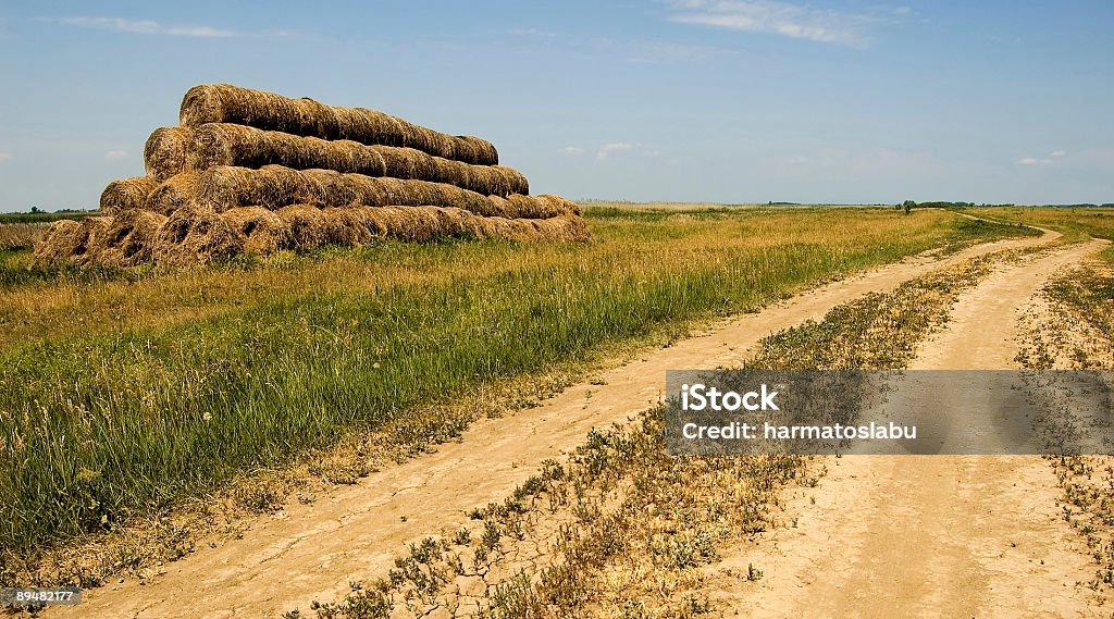 À proximité de la route - Photo de Agriculture libre de droits