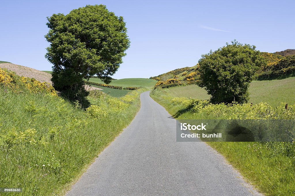 country estrada - Foto de stock de Azul royalty-free