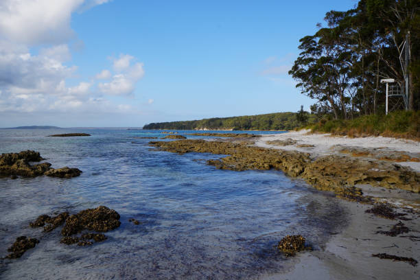 istock rocky beach in Jervis Bay 894826448