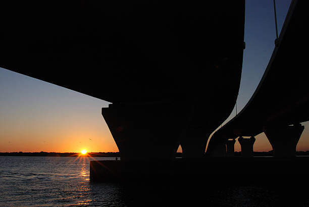 The Journalist Phelippe Daou Bridge or Rio Negro Bridge (Portuguese: Ponte Rio Negro) is a cable-stayed bridge over the Rio Negro with 3,595 metres (11,795 ft) of length that links the cities of Manaus and Iranduba in Brazil.