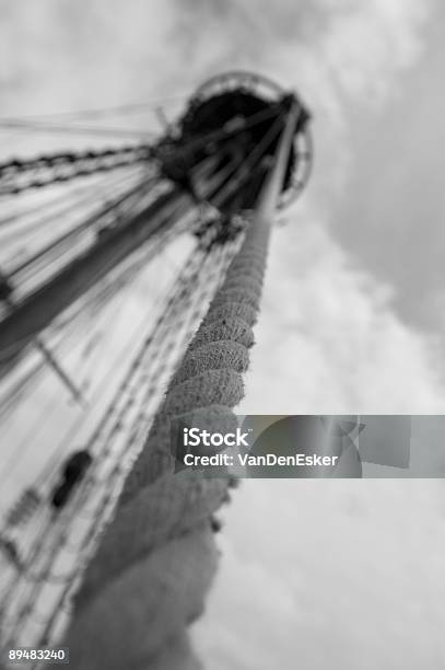 Its So High Stock Photo - Download Image Now - Animal Nest, Black And White, Black Color