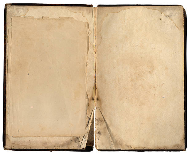 Vintage Book XXL
