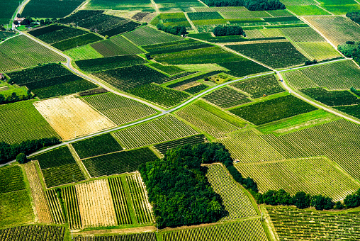 Aerial view of Bordeaux vineyard, France, Europe