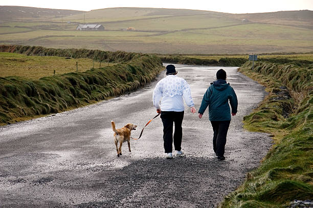 istock Two woman walking their dog 89486176