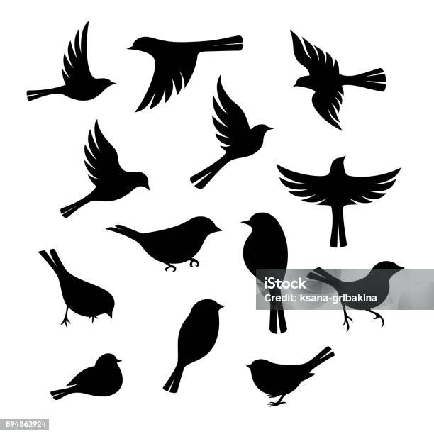 Fåglar Silhuett Samling-vektorgrafik och fler bilder på Fågel - Fågel, Flyga, Vektor